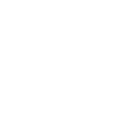 TST Logo - White